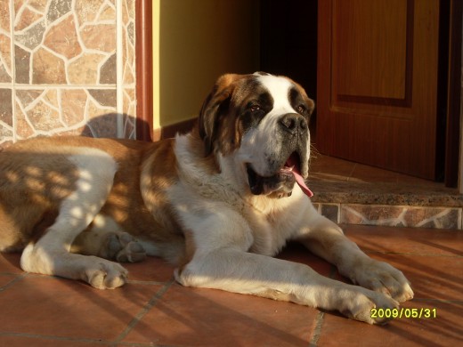 LUCHO EN LA PUERTA DE CASA AL SOLECITO.